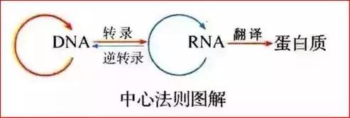 微信图片_20190105143016.jpg