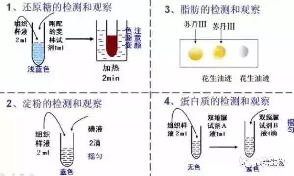 微信图片_20190502094749.jpg