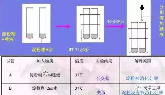 微信图片_20190502094807.jpg