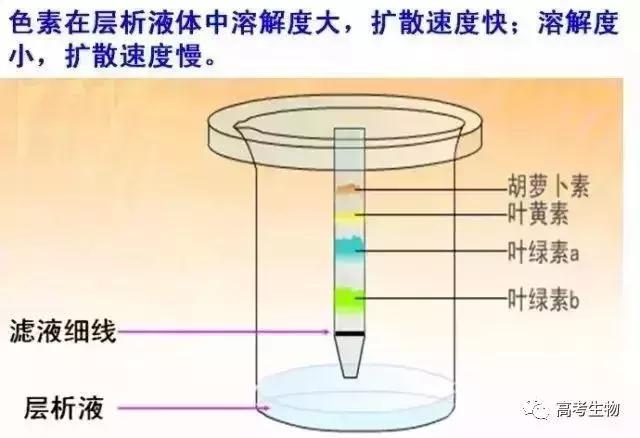 微信图片_20190502094813.jpg