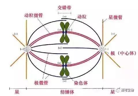 微信图片_20190502094826.jpg