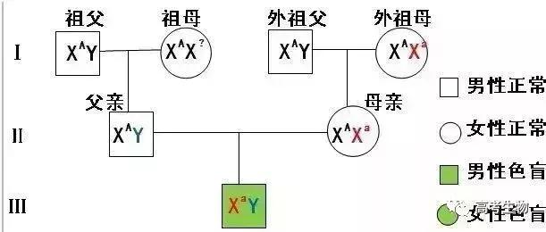 微信图片_20190502094829.jpg