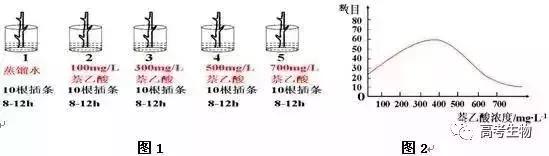 微信图片_20190502094832.jpg