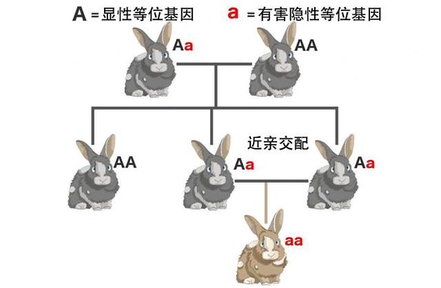 微信图片_20190520112411.jpg