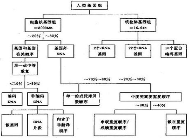 微信图片_20191018170453.jpg