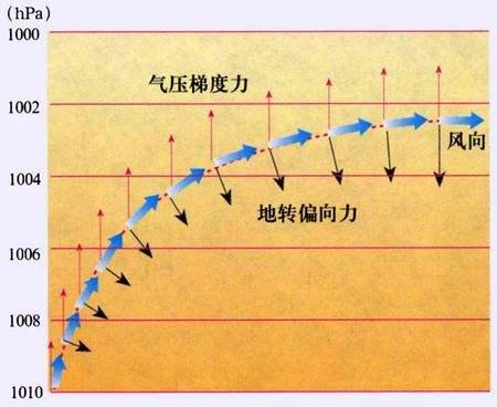 微信图片_20191025162502.jpg