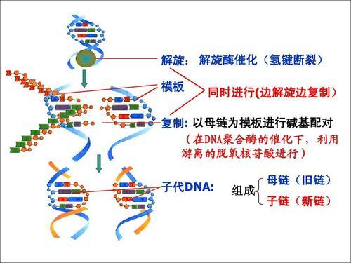 微信图片_20200227091121.jpg